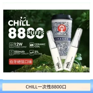 10種口味｜鴨嘴獸CHILL 8800口一次性電子菸 8ml大容量煙油