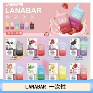 LANA BAR可充电一次性電子煙霧化5000口(3.0%)