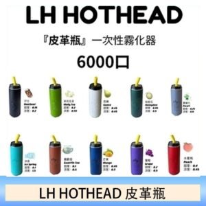 LH HOTHEAD皮革瓶電子煙可充電6000口一次性