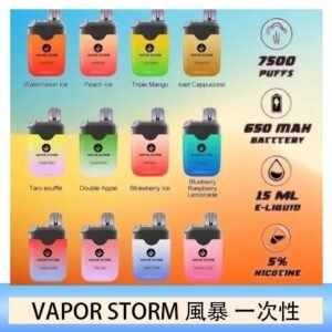 Vapor Storm風暴電子煙7500口（5%）一次性