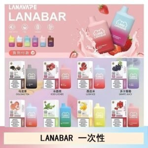 LANA BAR可充电一次性電子煙霧化5000口(3.0%)