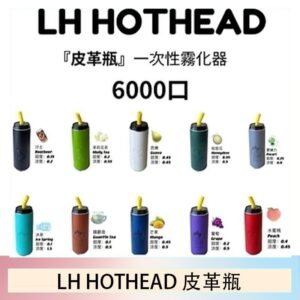 LH HOTHEAD皮革瓶電子煙可充電6000口一次性
