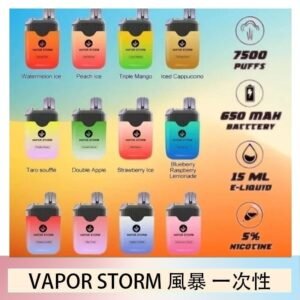 Vapor Storm風暴電子煙7500口（5%）一次性